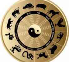Združljivost znakov zodiaka po letu