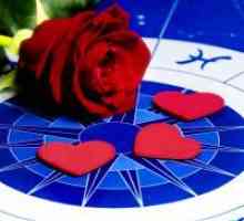 Združljivost znakov zodiaka v ljubezni