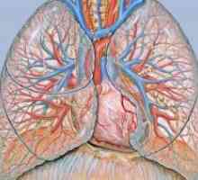 Pljučna stenoza