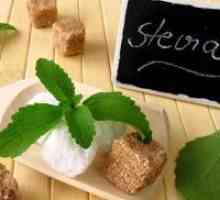 Stevia - koristi in škoduje