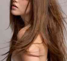 Elegantna frizura za dolge lase