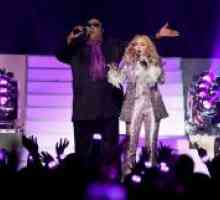 Stevie Wonder in Prince, Madonna poklonil glasbene nagrade billboard-2016