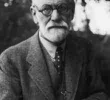 Struktura psiho po Freudu