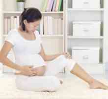 Zasegi med nosečnostjo