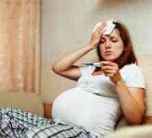 Prašičja gripa pri nosečnicah