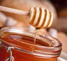 Taiga medu - koristne lastnosti
