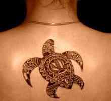 Turtle tattoo - vrednost