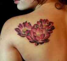 Lotus Tattoo - vrednost