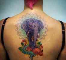 Slon Tattoo - vrednost