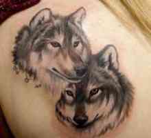 Volk ​​tattoo - vrednost