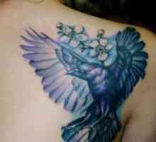 Tattoo Raven - vrednost