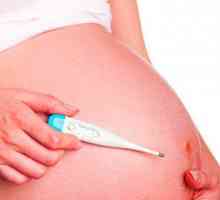 Temperatura med nosečnostjo in povzroči povečanje