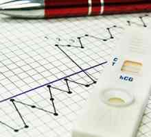 Ovulacija test nosečnosti