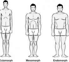 Vrste telesa za moške in ženske