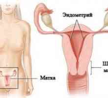 Debelina endometrija med nosečnostjo