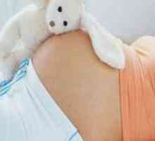 Trimesečje nosečnosti - pogoji
