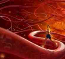 Krepitev krvnih žil
