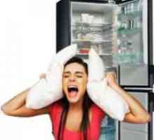 Raven hrupa hladilnika