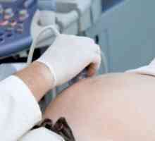 Ledvična ultrazvok med nosečnostjo
