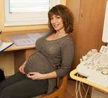 Uzi med nosečnostjo: 32 tednov