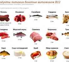 Kaj živila vsebujejo vitamin B12?