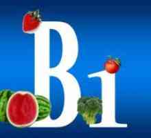 Kaj živila vsebujejo vitamin B1?