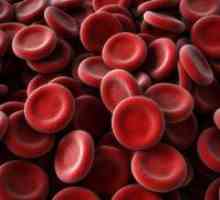 Spuščenem krvi eritrocitov