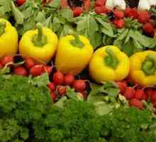 Vegetarijanska prehrana za hujšanje menijih, pregledov in rezultati