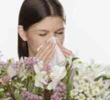 Spring alergija