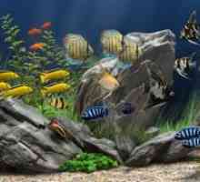 Vrste akvarijskih rib