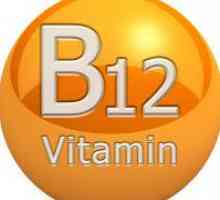 Vitamin B12 - indikacije za uporabo