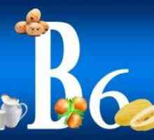 Vitamin B6 v živilih
