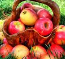 Vitamini v jabolk
