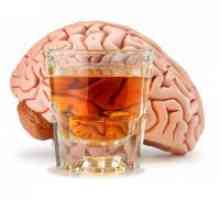 Učinki alkohola na možgane