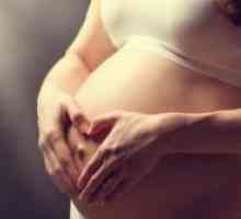 Vodena izcedek med nosečnostjo