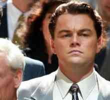"The Wolf of Wall Street" lahko uniči Leo DiCaprio!