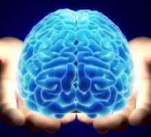 Možnosti za človeške možgane