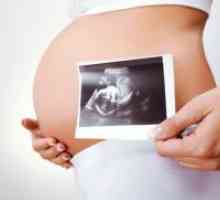 Škodljiva, če ultrazvok med nosečnostjo?
