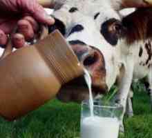 Svetovni dan Milk