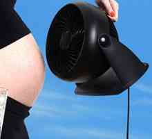 Visoka vročina med nosečnostjo