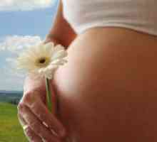Visoka progesterona med nosečnostjo