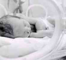 IVH pri novorojenčkih