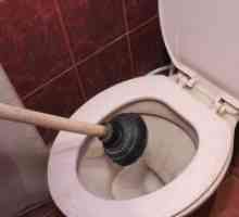Zamašena WC - kako očistiti?
