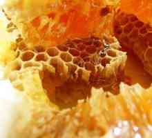 Zabrus čebel, struktura, koristi in škoda, uporaba