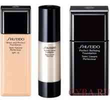 Maska vse pomanjkljivosti z kreme Shiseido