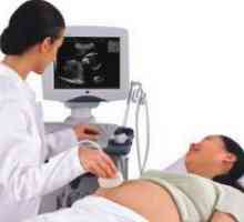 Rumenega telesca z ultrazvokom