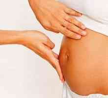 Belly 15 tednov noseča