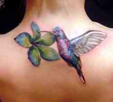 Pomen tattoo Hummingbird