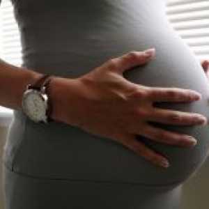 39 Tednov nosečnosti - aktivni perturbacije
