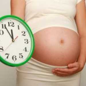 Porodniška teden nosečnosti